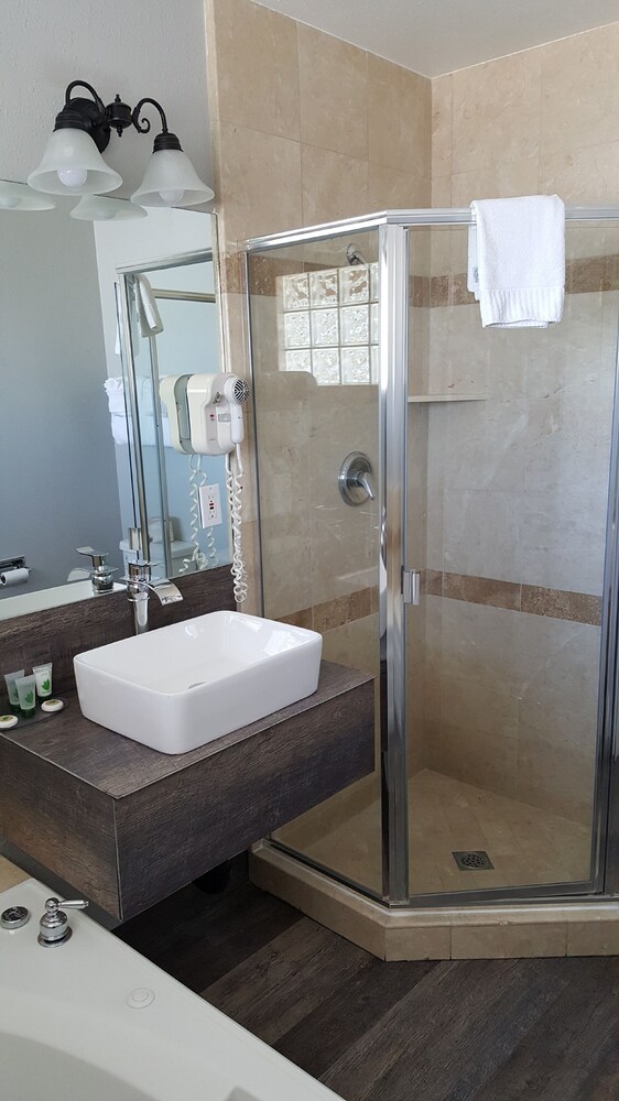 Lake Ridge Hotel - photo 43