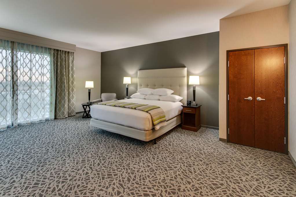 Drury Plaza Hotel Dallas Richardson - photo 29