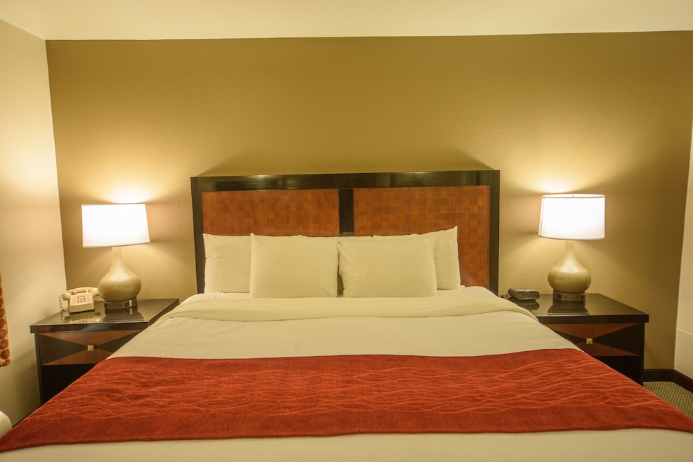 Richland Inn Lawrenceburg - photo 11