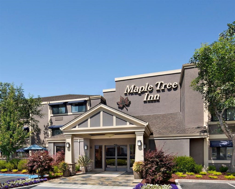 Maple Tree Inn - featured photo