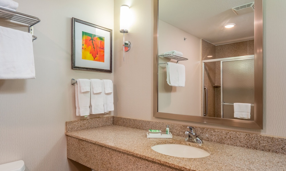 Holiday Inn Stevens Point Convention Ctr by IHG - photo 15