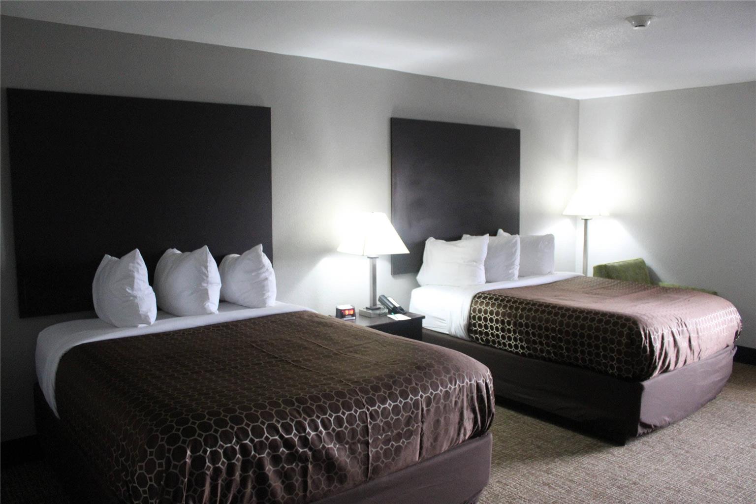 Quality Inn and Suites University Area - photo 35