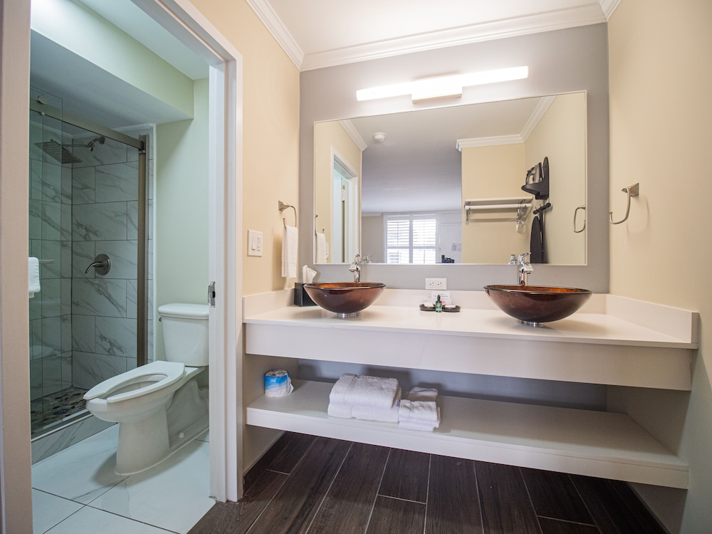 Equus Inn Ocala - photo 35