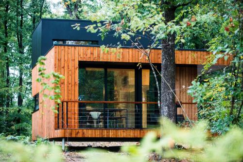 Forest cube Tradition - carbon neutral hotel in Unknown City
