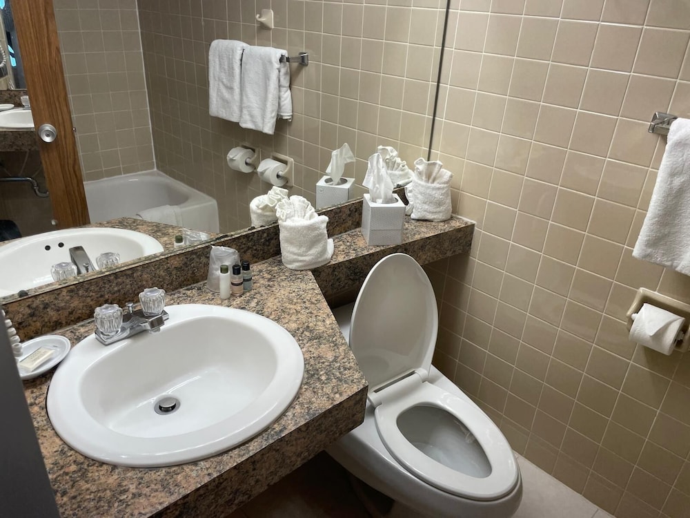 Eastlake Suites Hotel & Conference Center By OYO Urbana - photo 80