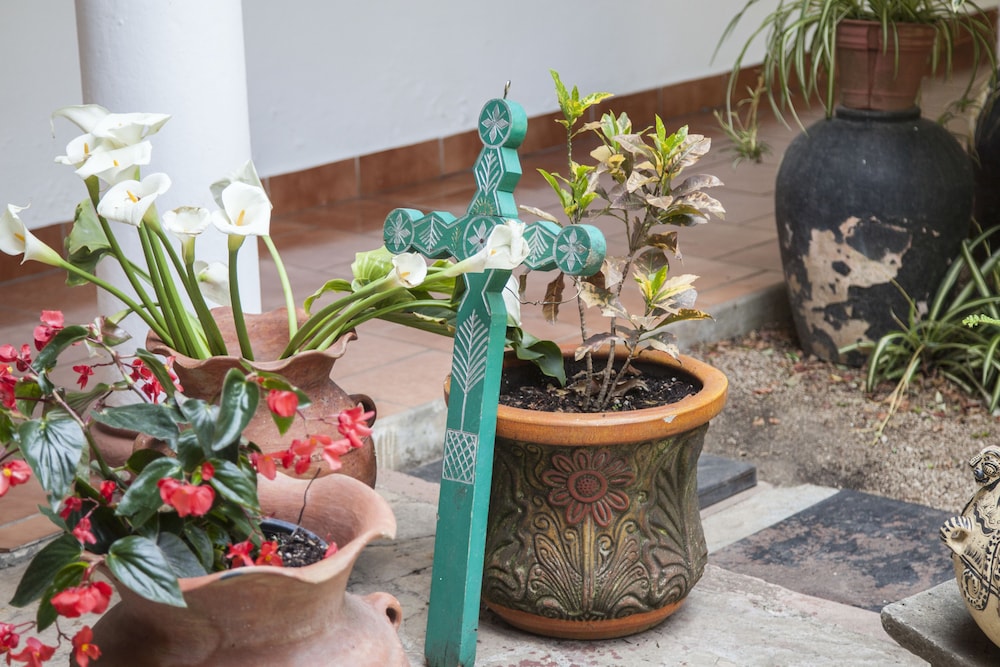Hotel Jovel — San Cristobal De Las Casas — photo 2