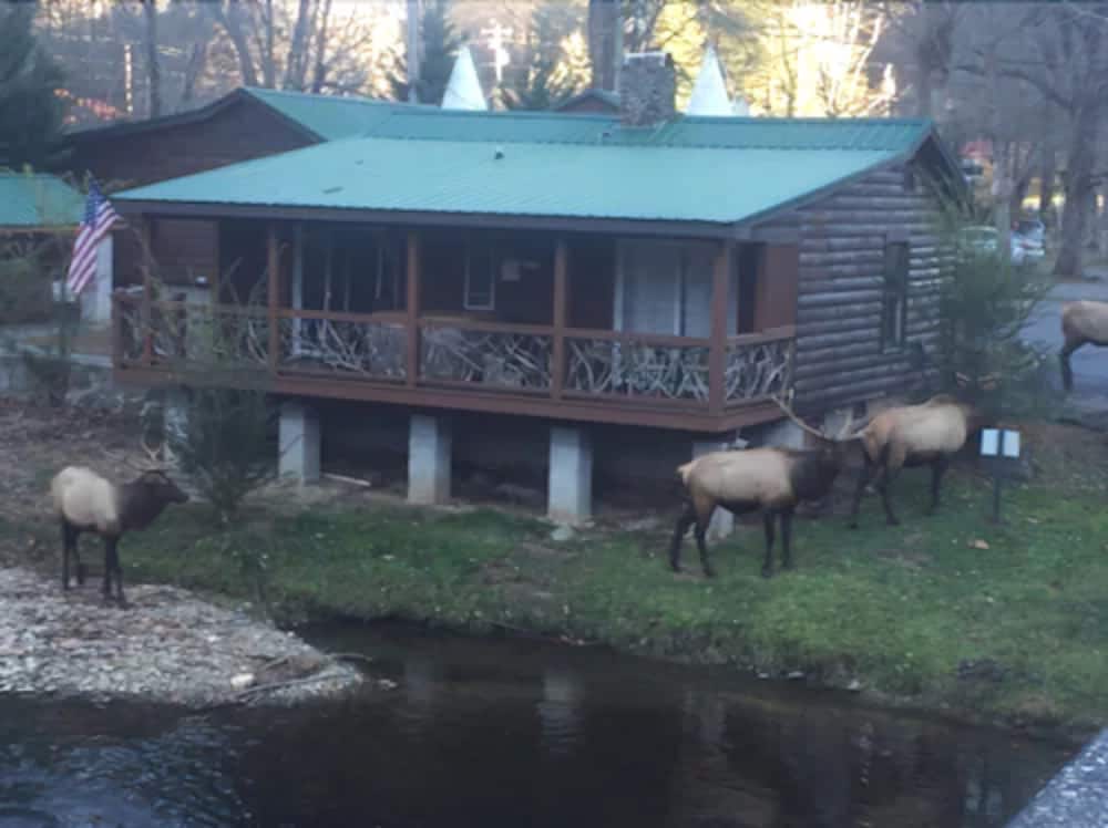 Qualla Cabins and Motel Cherokee near Casino - photo 48