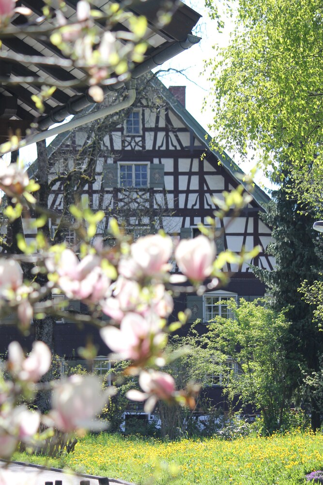 Hotel Traube Thalkirchdorf - carbon neutral hotel in Oberstaufen