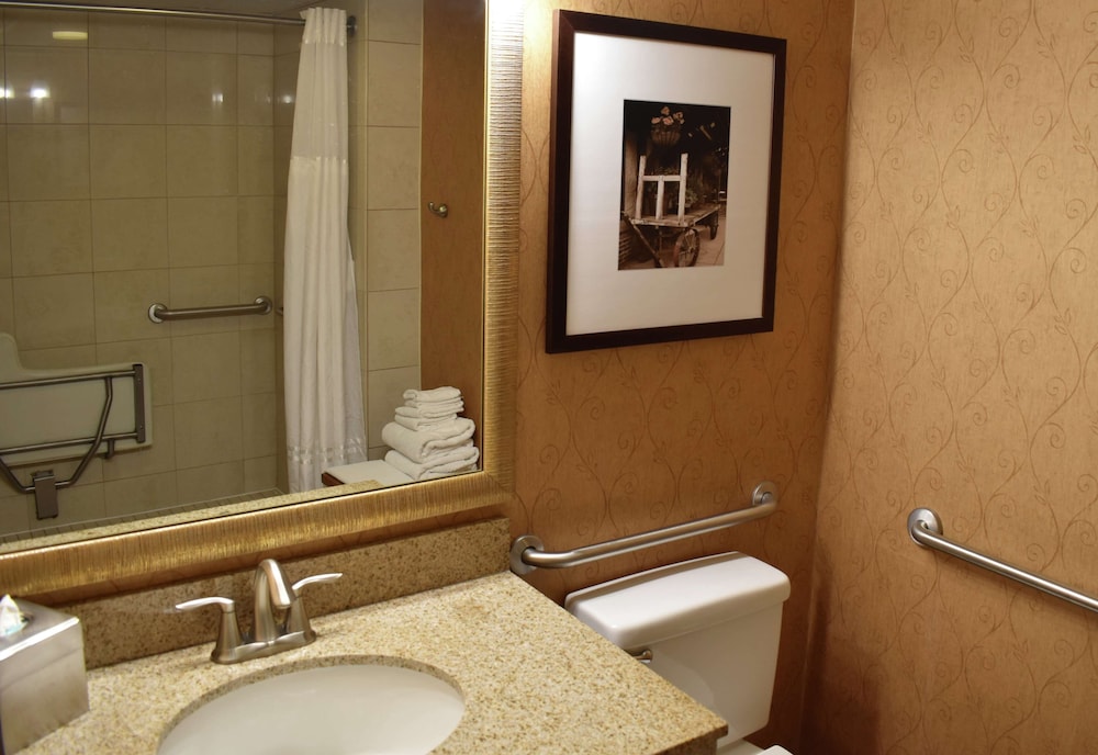 DoubleTree by Hilton Asheville Biltmore - photo 67