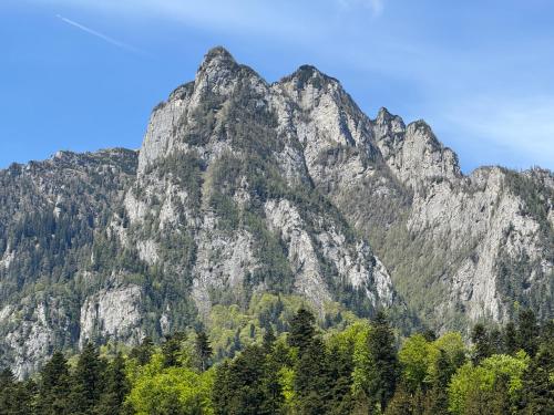 Alpin Vista — Busteni — photo 2
