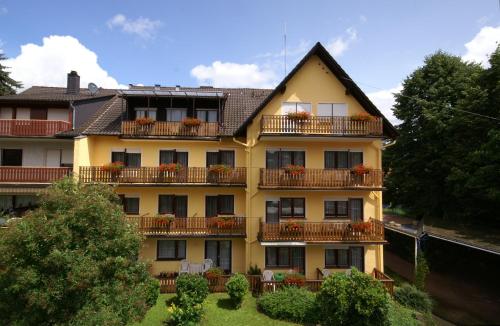 Hotel Weidenau — hotel in Bad Orb