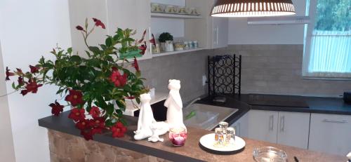 Raza Soarelui apartament de lux — Sovata — photo 4