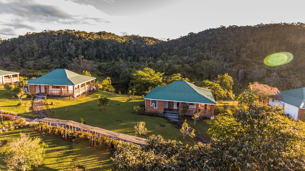 Eulophiella in Unknown City, Madagascar