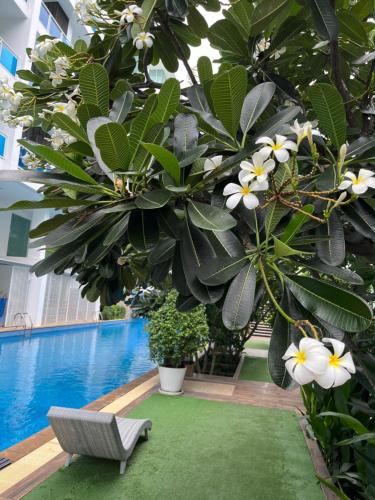 My Resort Hua Hin A206 in Hua Hin, Thailand