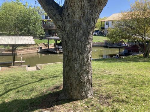 Bluebonnet Cove in Kingsland, United States