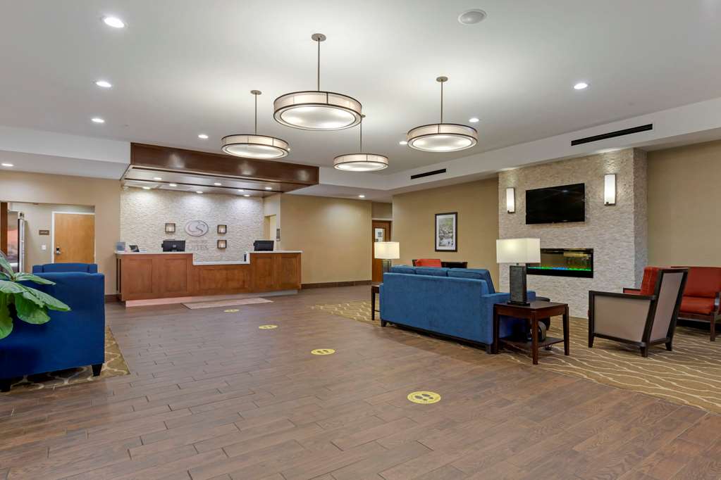Comfort Suites Piedmont Greenville South - photo 7