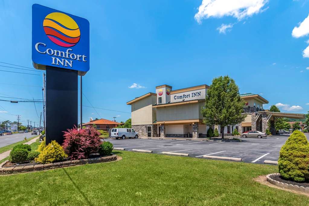 Comfort Inn Williamsport - featured photo
