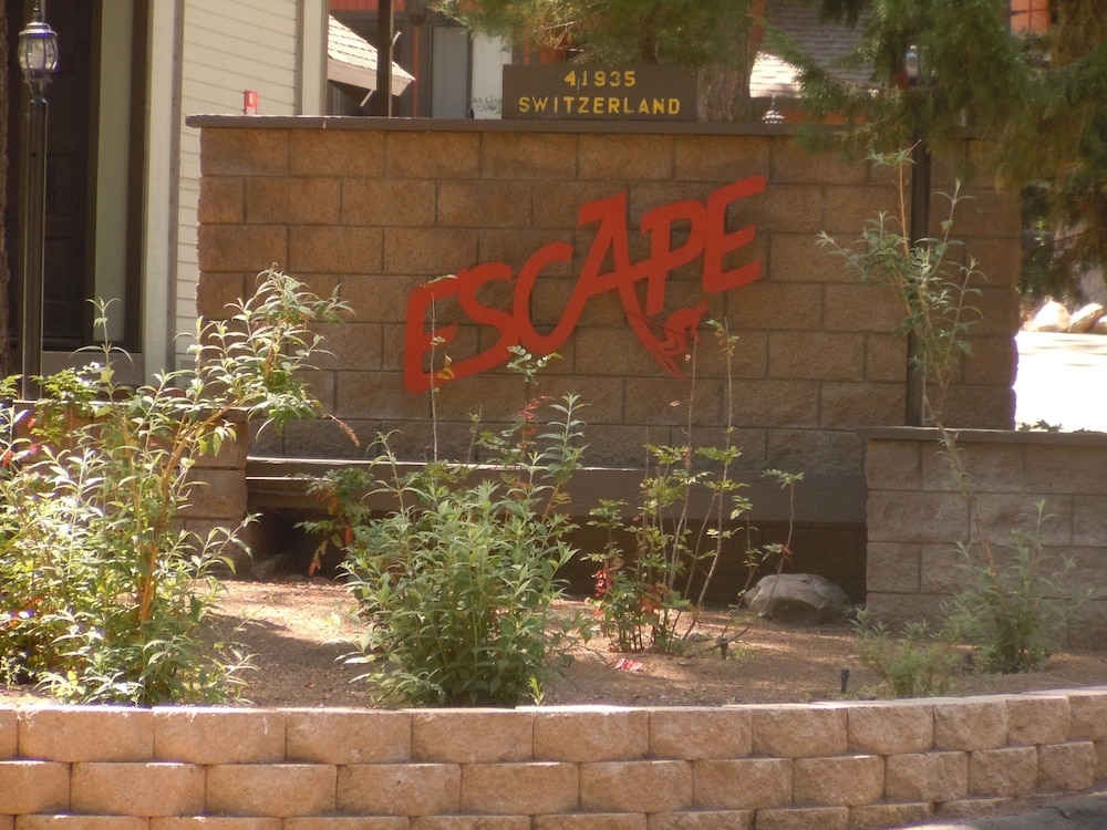 Escape For All Seasons - photo 447