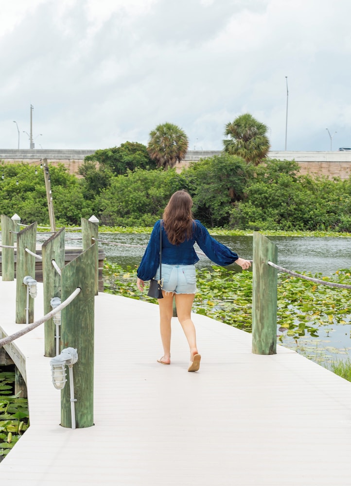 Hilton Palm Beach PBI - photo 218