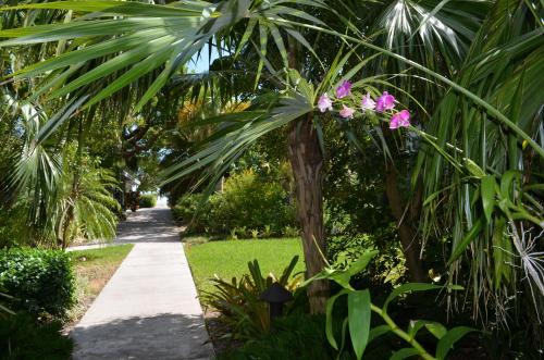 Poolside Breeze Retreat in Key West, United States