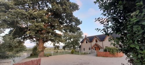 Oaktree Manor BBQ games rooms and pet friendly — hotel in Castlewellan