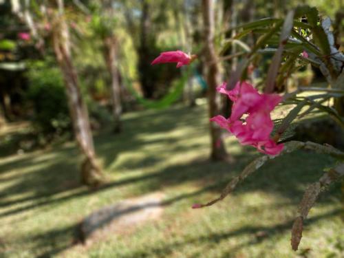 Repousada Sana in Macae, Brasil