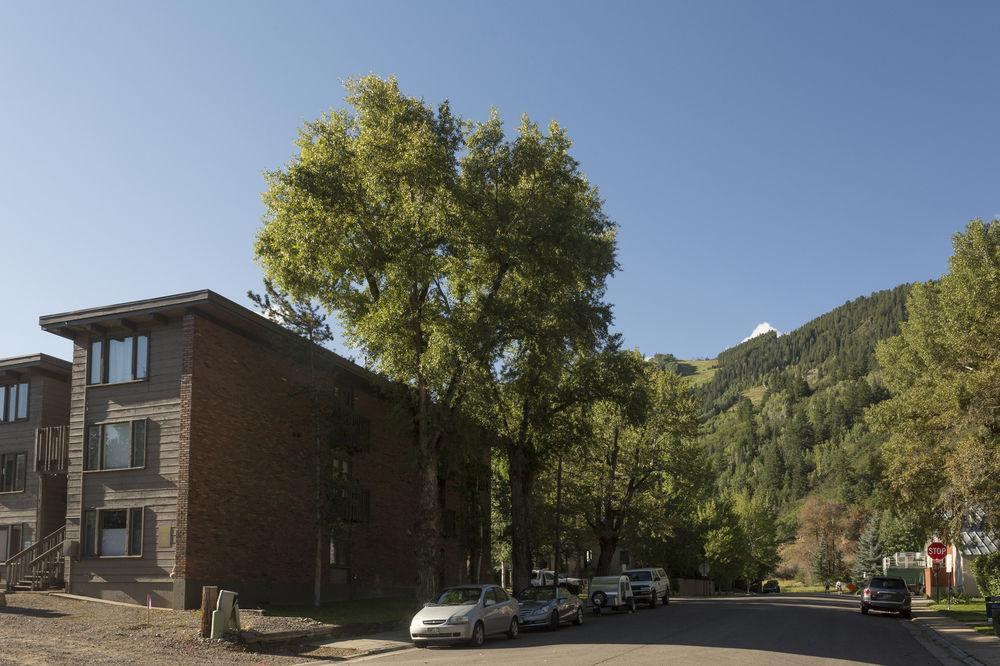 Cottonwoods by Frias Properties — hotel in Aspen