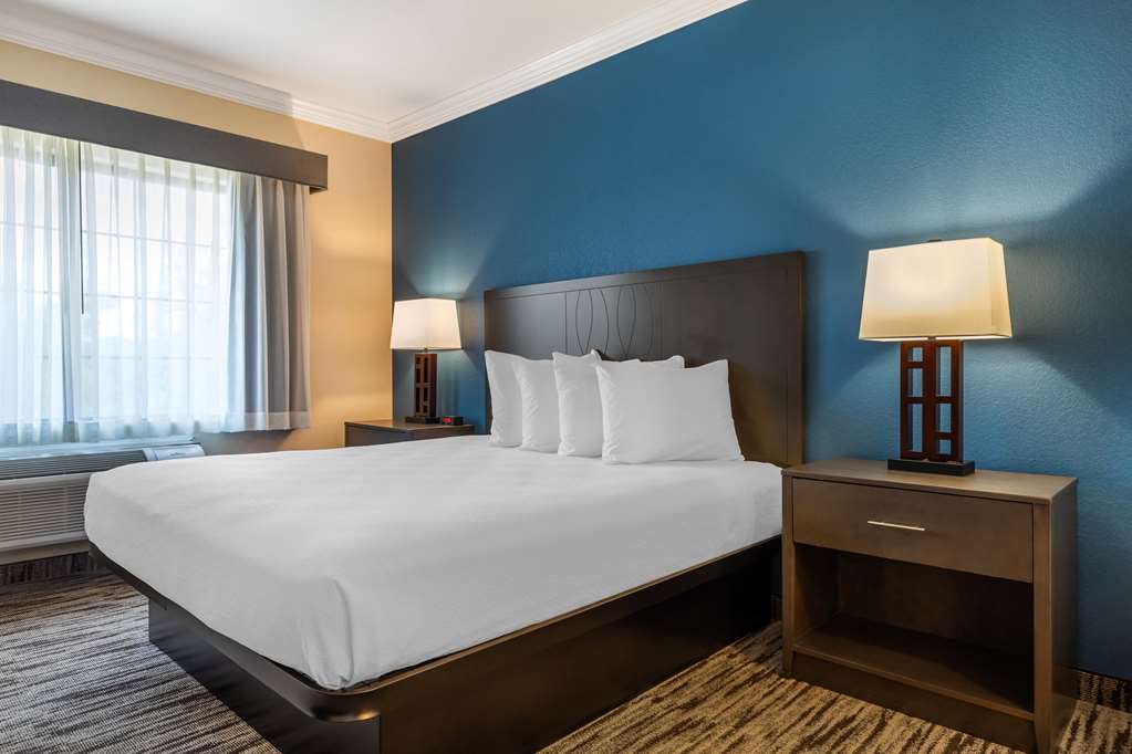 Best Western Dinosaur Valley Inn & Suites - photo 22