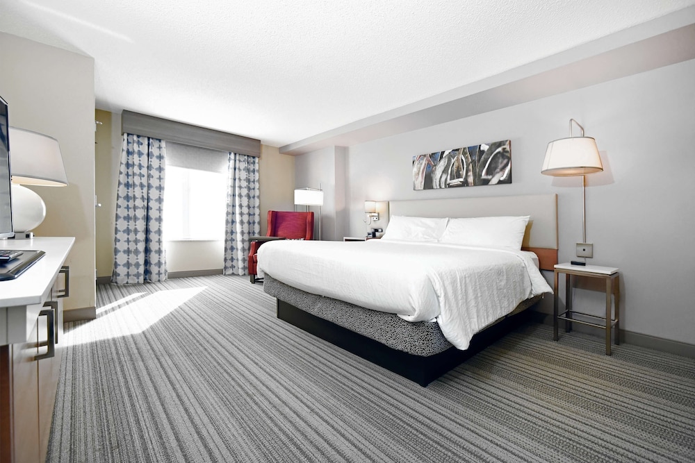 Hilton Garden Inn Saratoga Springs - photo 23