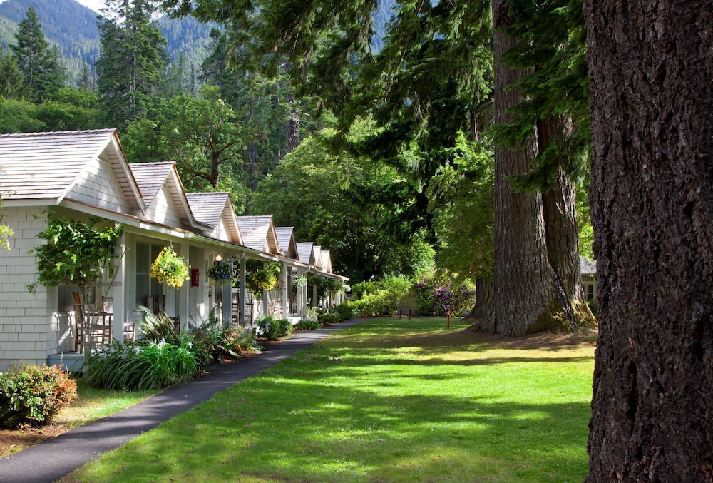 Lake Crescent Lodge - photo 4