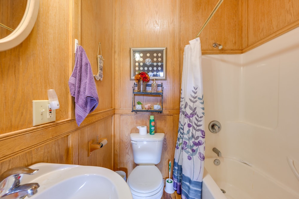 Salmon Vacation Rental w Mountain Views - photo 12