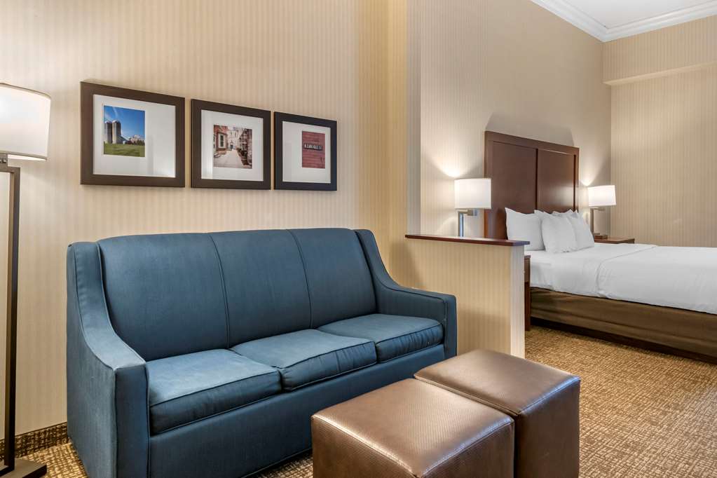 Comfort Suites Downtown Carlisle - photo 6
