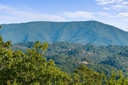 Evergreen Escape - carbon neutral hotel in Sevierville