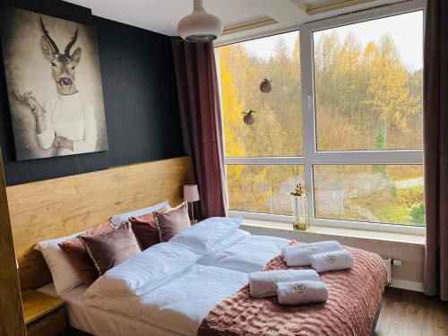 Apartament Spa 52 Resort Kozubnik Blisko Szczyrk 5d Apartamenty — Porabka