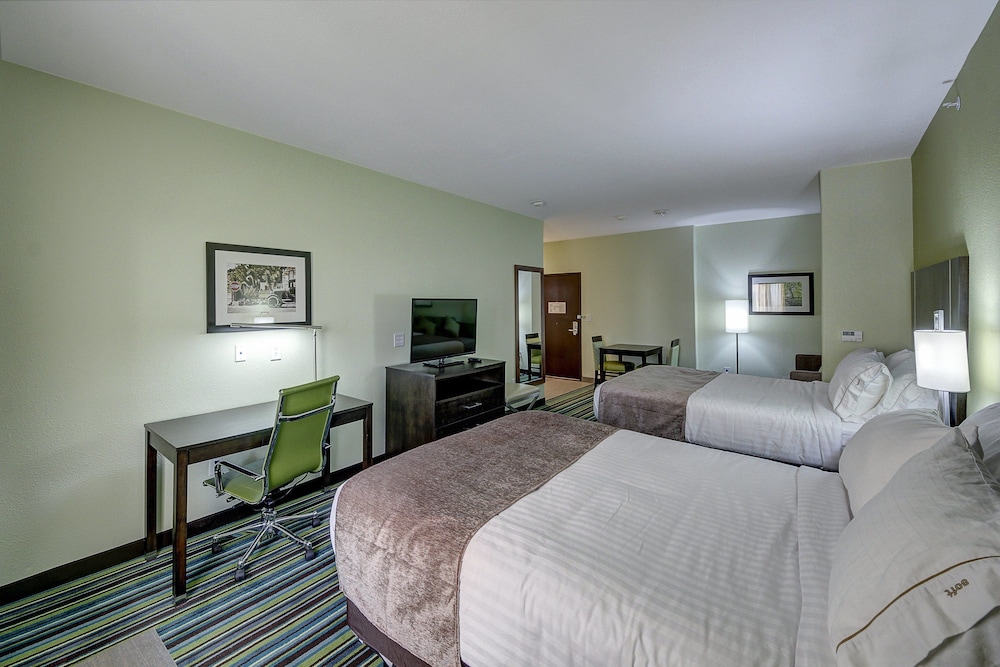 Holiday Inn Express & Suites Carrizo Springs by IHG - photo 10