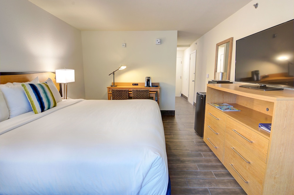 Guy Harvey Resort on St Augustine Beach - photo 38