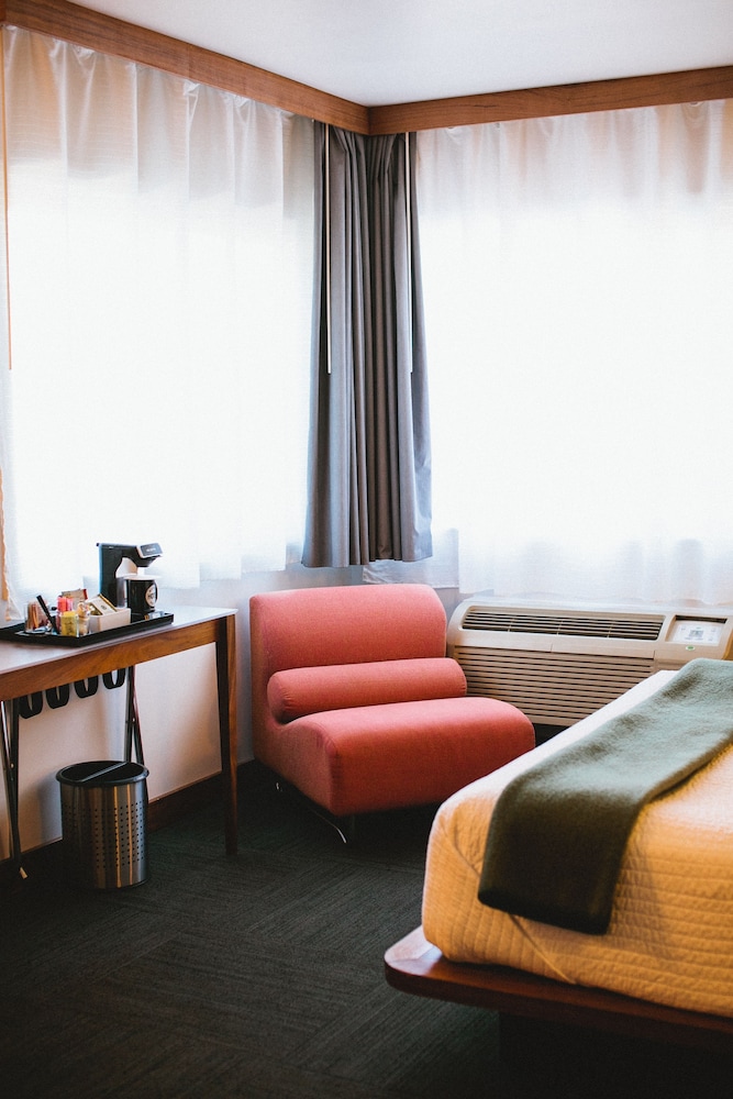 Modern Hotel - photo 11