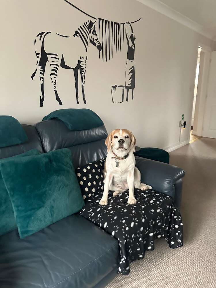 Hereford Finch House Modern 4 Bedroom House Located in South Hereford Dog Friendly With Nearby Countryside Pool Table Sleeps up to 10 Guests Hosted by RENTMYHOUSE — 4-Star Luxury Hotel in Hereford, United Kingdom