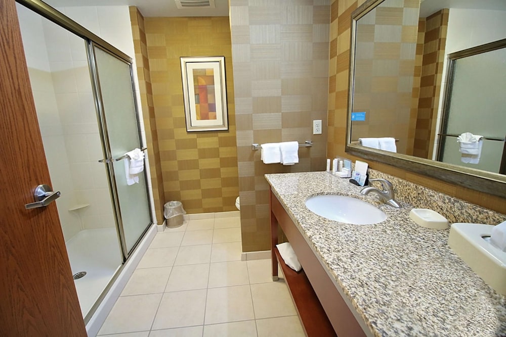 Hampton Inn Detroit Auburn Hills North - photo 32