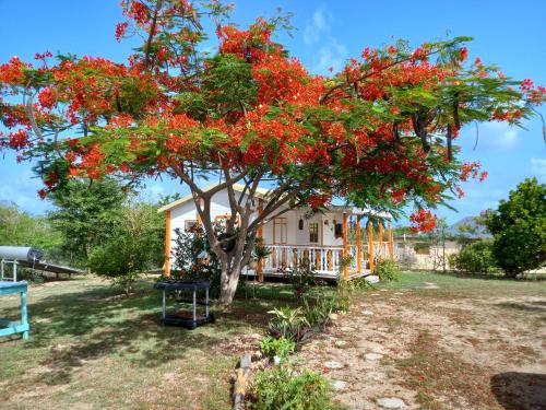Bungalow au soleil — 4-Star Luxury Hotel in Saint-Francois, Guadeloupe