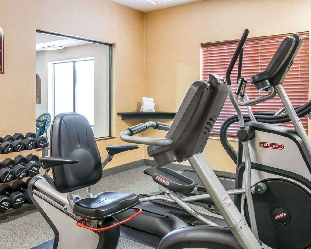 Quality Inn & Suites Niles - photo 93