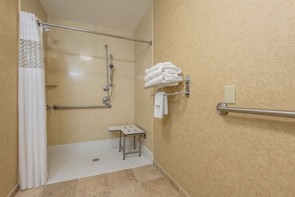 Hampton Inn & Suites Orlando South Lake Buena Vista - photo 30