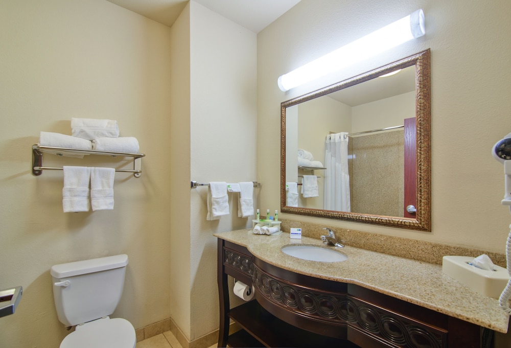 Holiday Inn Express Hotel & Suites Terrell by IHG - photo 18