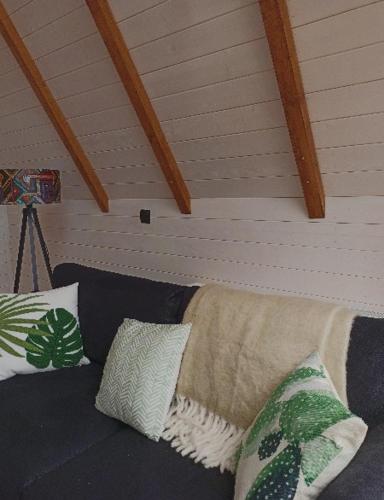 Cottage Toladi