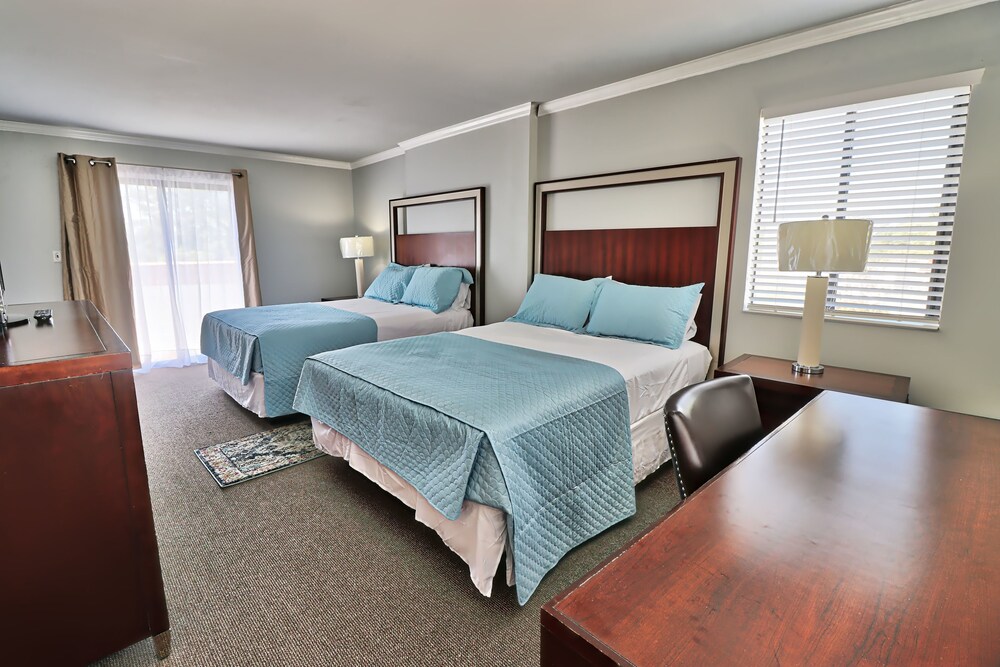 Serendipity Inn - photo 13