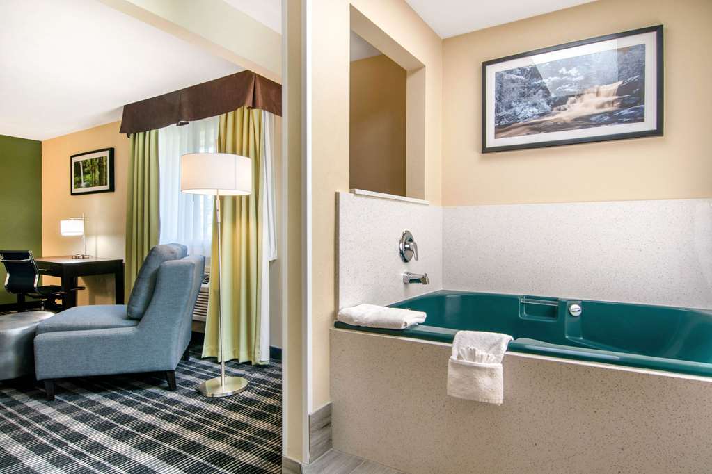 Quality Inn & Suites Albany Corvallis - photo 20