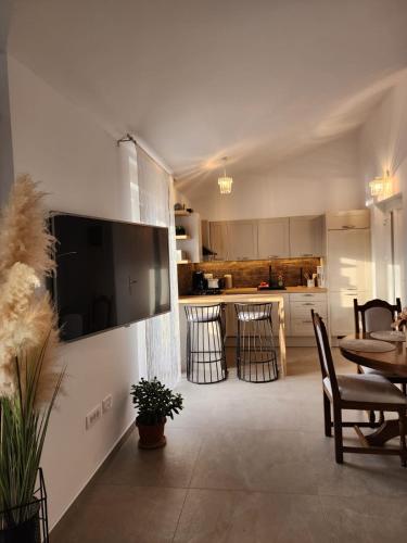 Apartments Mary — 4-Star Luxury Hotel in Novigrad, Croatia