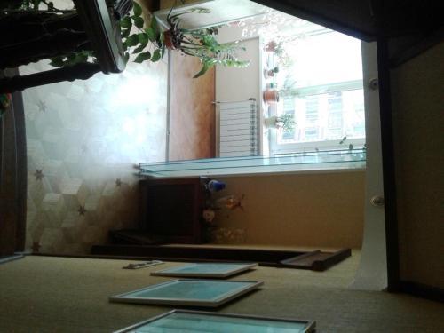 7X7 in Khimki, Russia