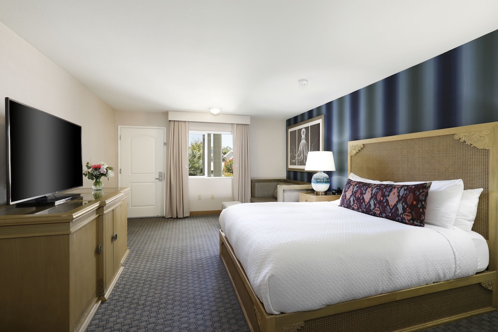 Spyglass Inn - photo 7