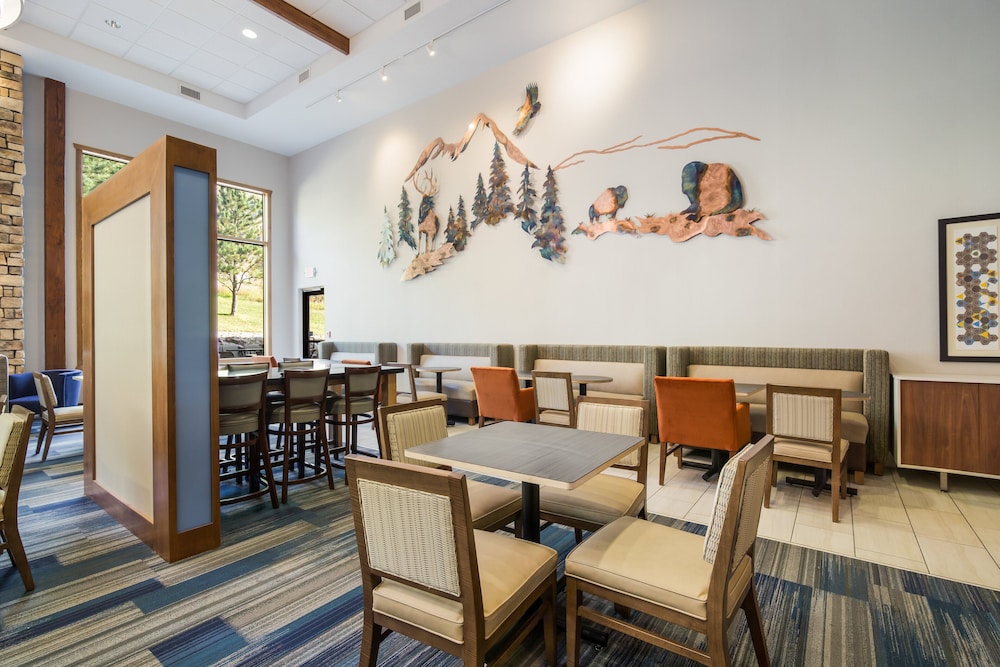 Holiday Inn Express & Suites Custer Mt Rushmore - photo 30